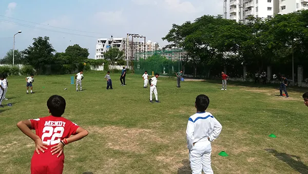 cricket coaching near me
